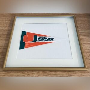 College/University Pennant Flags Framed 11x13
